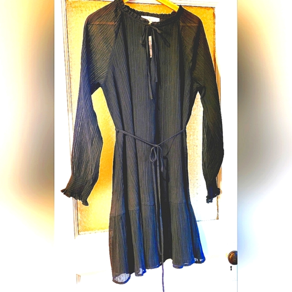 🍀❤️ NWT-LOFT-Midi Dress-Waist Sash-Long See Through- Sleeves Finely Pleaded-L
